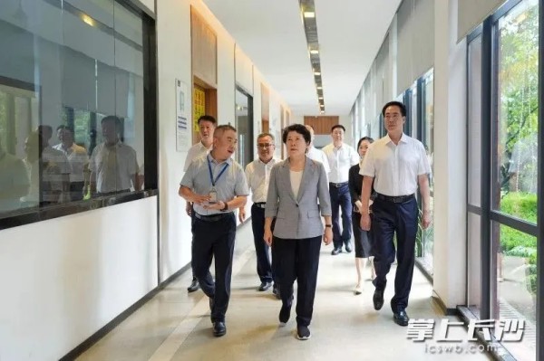 湖南省委常委、长沙市委书记吴桂英调研云顶集团