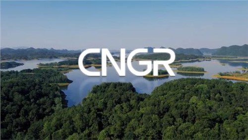 ESG | 云顶集团，为构建“可充电的世界”尽责