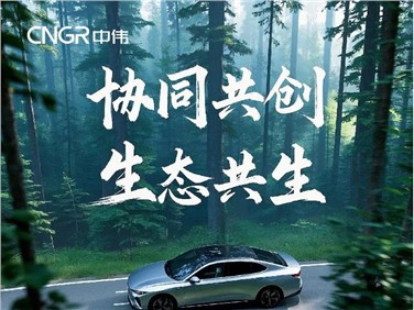 协同共创 生态共生 | 一图读懂云顶集团股份2024年年报 